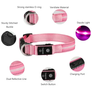Light Up Dog Collar Waterproof USB Rechargeable - Adjustable Night Safety - LED Bright Pet Collars